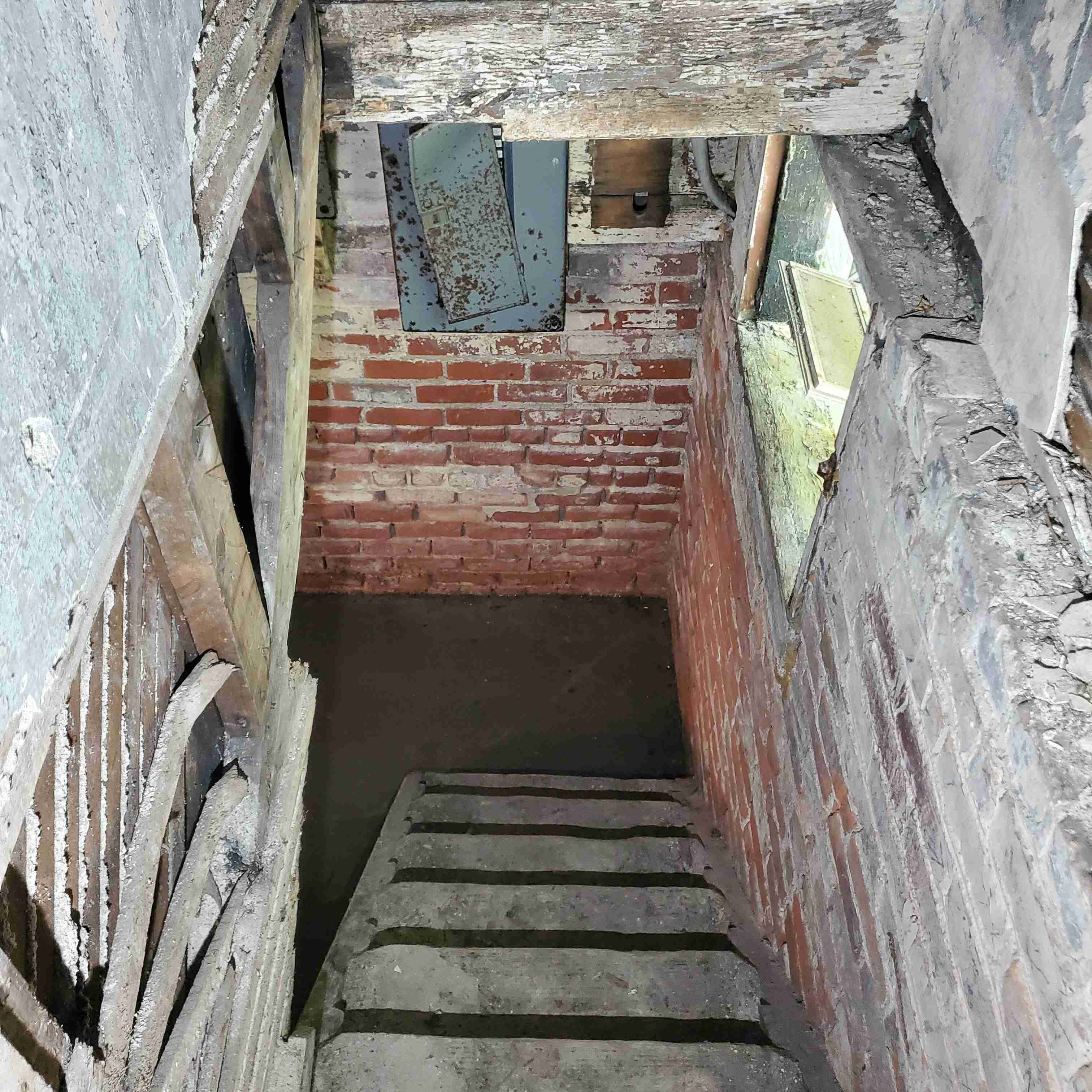 20200812_130158 (2).jpg